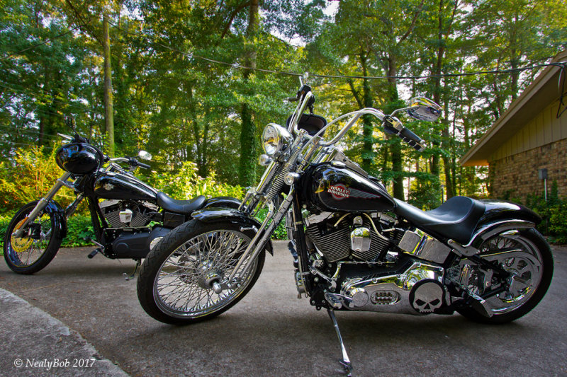 Harleys May 19