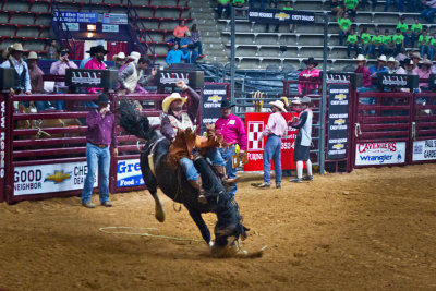 Rodeo Fun