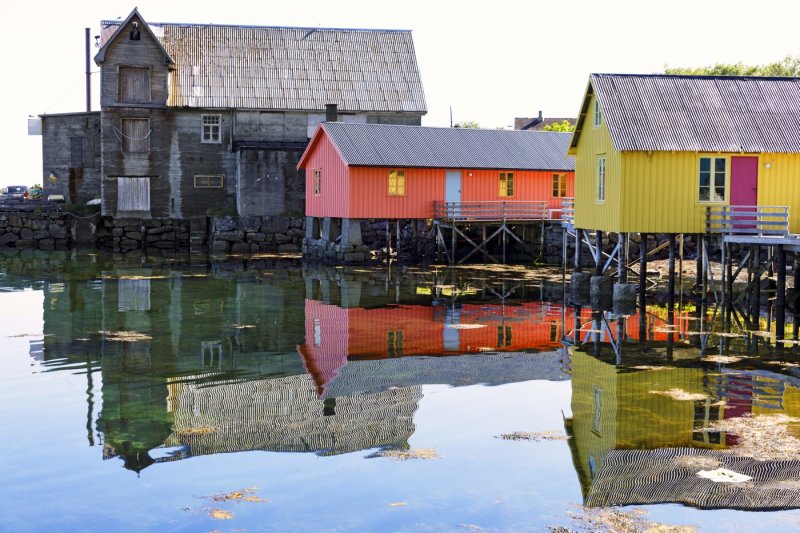 Cottages in the harbor