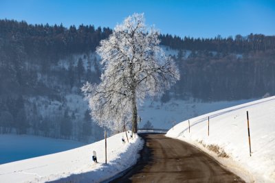 Strae L131 