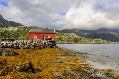 Cabin on the Trollfjord