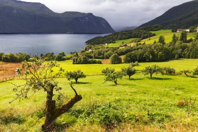 Langfjorden