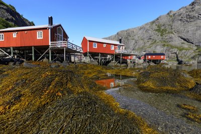 Rorbuer (fisherman's cabins)
