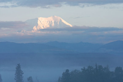 Mount Foraker (17,400')