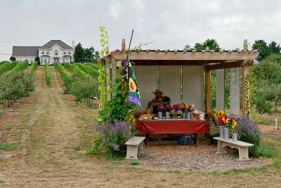 Fruit stall near Mapleton