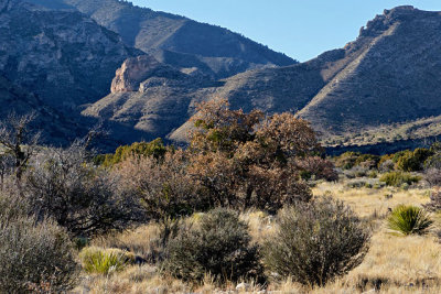 Guadalupe Mountains