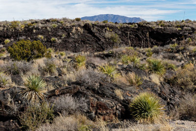 Lava beds of the Tularosa Valley