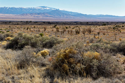 Lava beds of the Tularosa Valley, with Capitan Peak in the background