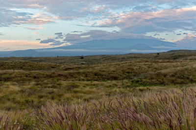 Mauna Kea