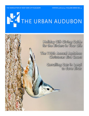 Urban Audubon Magazine Cover - Winter 2019