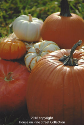 Autumn Medley.jpg