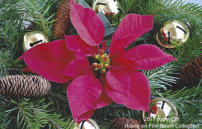Christmas Tapestry.jpg