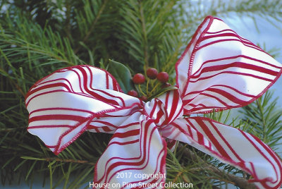December's Holly.jpg