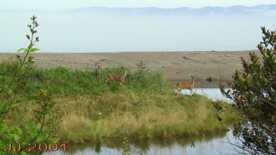A140-4070_IMG.jpg