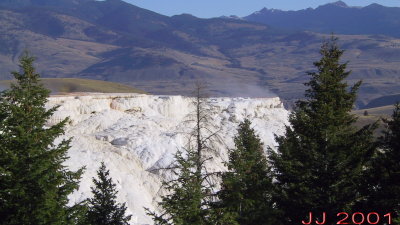 A115-1528_IMG.jpg