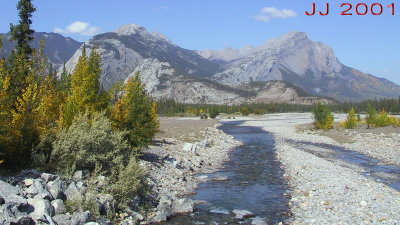A124-2420_IMG.jpg