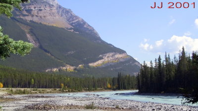 A125-2515_IMG.jpg