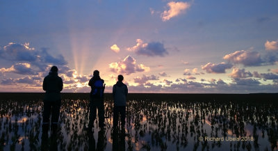 Sunset @ Schiermonnikoog Ecological Research Skills