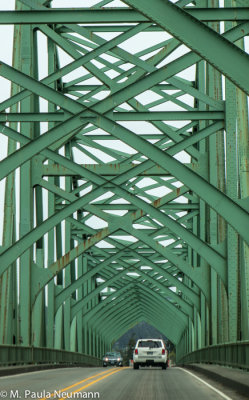 3D0A3618.jpg
