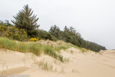 Sand dunes