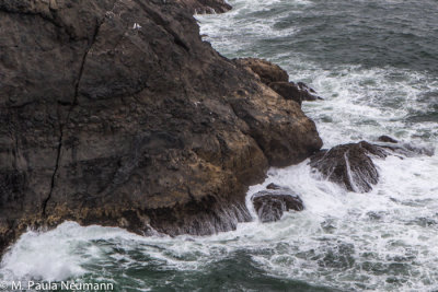 Heceta Head