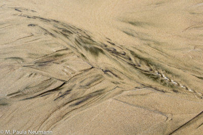 Patterns in the sand