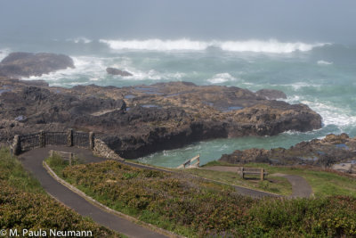Cape Perpetua