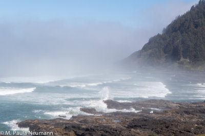 Cape Perpetua