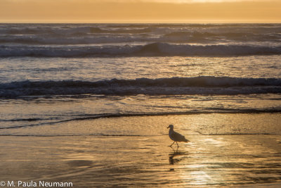 Sunset at Rockaway Beach