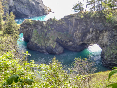 Natural Bridges cove