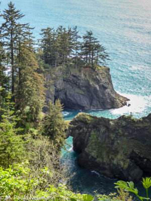 Natural Bridges cove