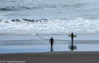 Surfers