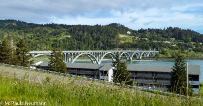 P1050100.jpg