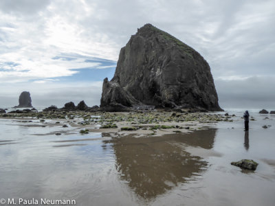 Haystack Rock at Cannon Beach
