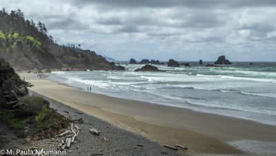 Cape Sebastian State Park