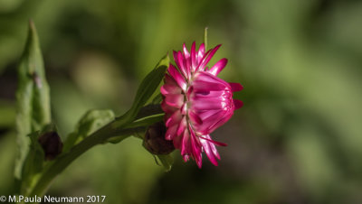3D0A4430.jpg