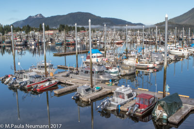 Petersburg harbor
