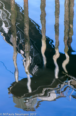 Pier reflection