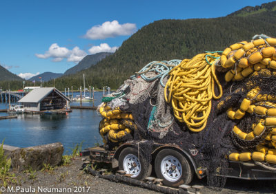 salmon nets and Petersburg harbor