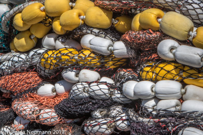 salmon nets