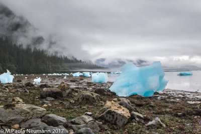 glacial ice on shore