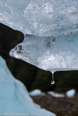 melting glacier