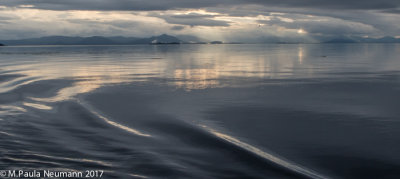 quiet evening on the water
