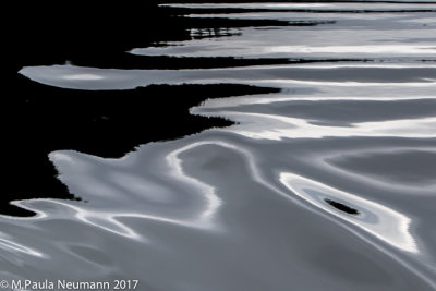 water abstract