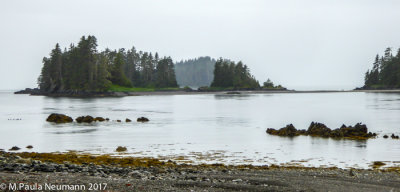 view from shore