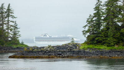 Ship passing in the fog