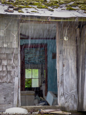 Questionable shelter from the rain, Kake, Alaska