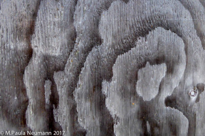 Weathered wood