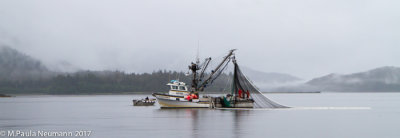 Salmon fishing