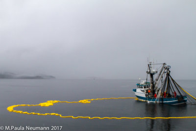Salmon fishing